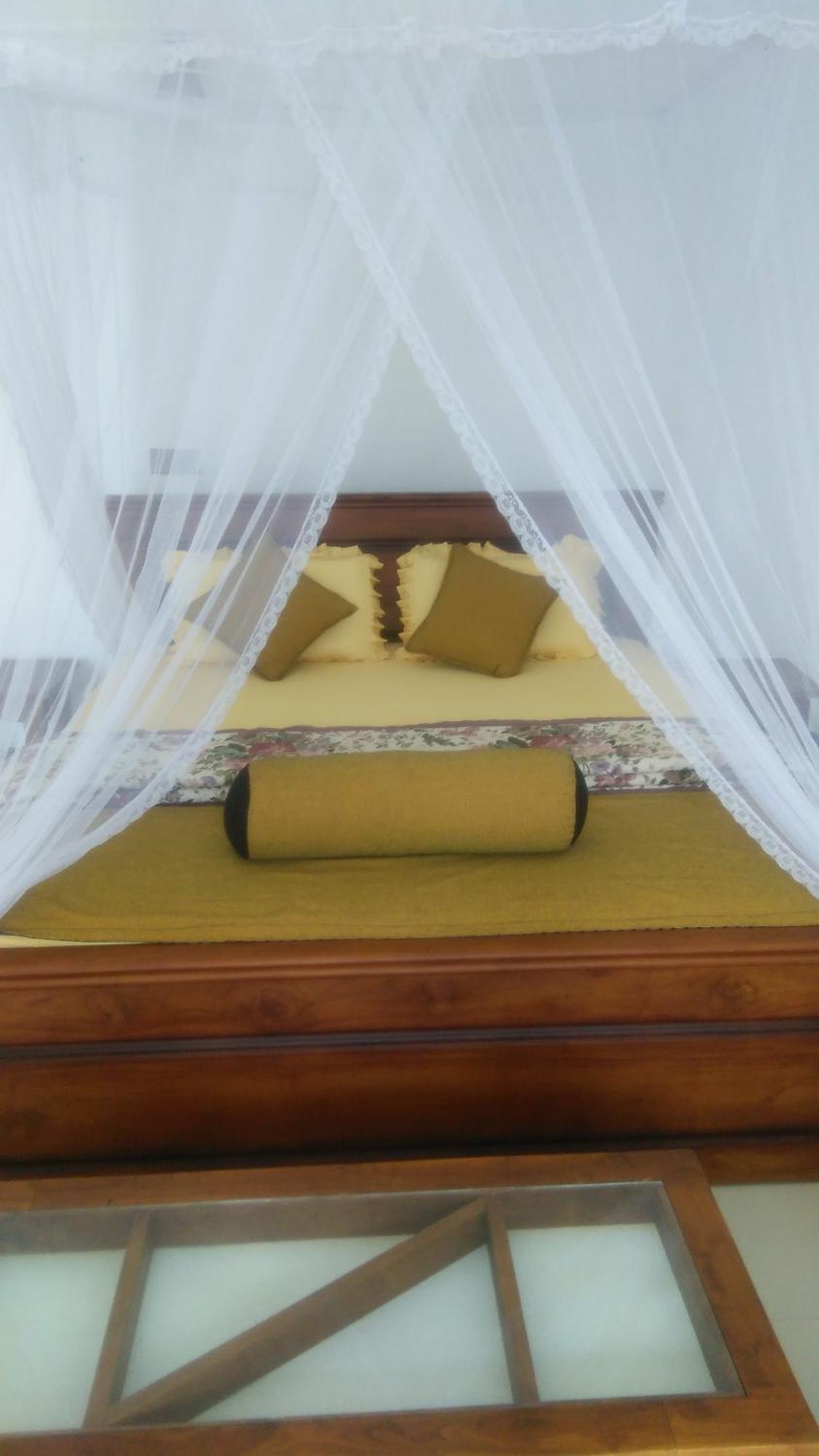 Maple Home Stay Ella Phòng bức ảnh